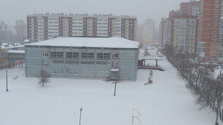 Школу №34 в Кемерове заполонили тараканы