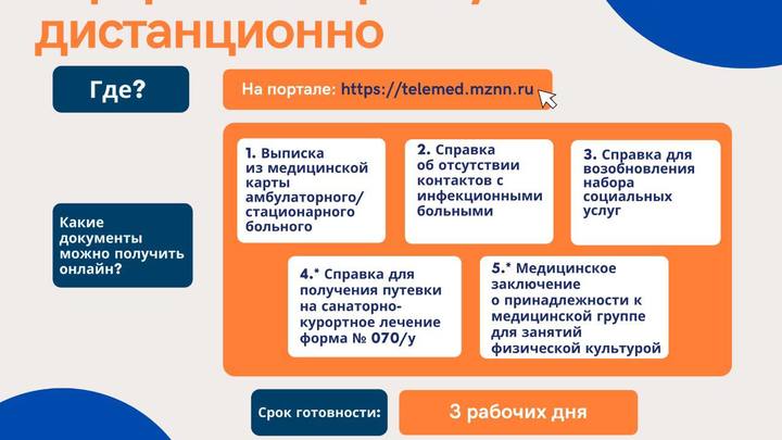 В Нижегородской области можно удалённо оформить пять видов медсправок
