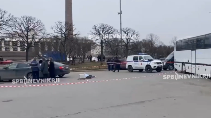 Частый пациент психбольницы, поддельные номера: подробности нападения на отца с сыном в Петербурге
