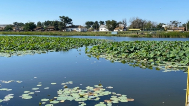 В Калмыкии возбуждено уголовное дело по факту гибели 11-летнего жителя Тольятти