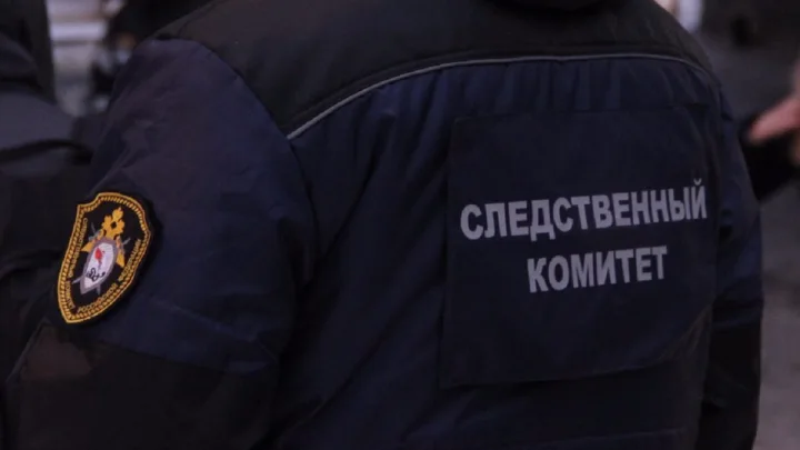 По подозрению в убийстве 14-летней школьницы в Коми задержали её соседа