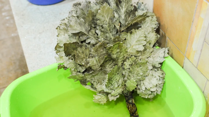 Русский язык исключить из школ: В Киргизии началось народное восстание после разгона этнической бани в Москве