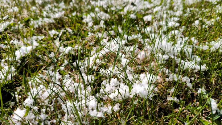 Майские праздники - 2025: Вместо шашлыков - зонт и тёплая куртка