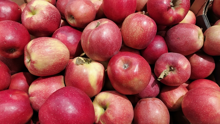 Молдавское яблочко покатится в Россию: Москва разрешила поставки овощей и фруктов 20 компаний