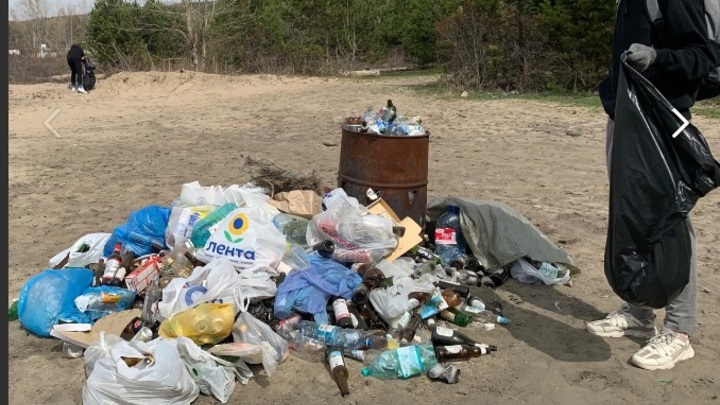 На пляже в Академгородке нашли большую кость и 18-летнюю бутылку