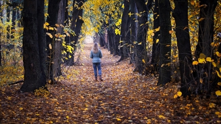 Рубли по осени считают: Гражданам предложили не экономить на обуви