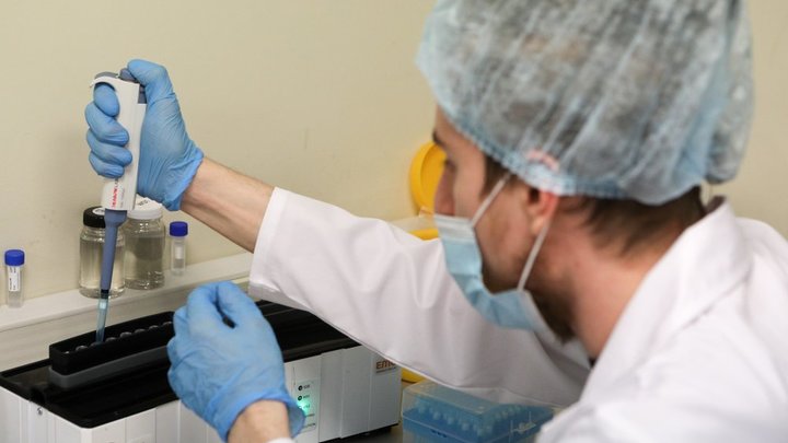 Коронавирус в Ростовской области - последние новости на сегодня, 12 октября 2020. Смертность растёт