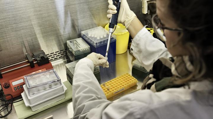 Учёные обнаружили ахиллесову пяту коронавируса