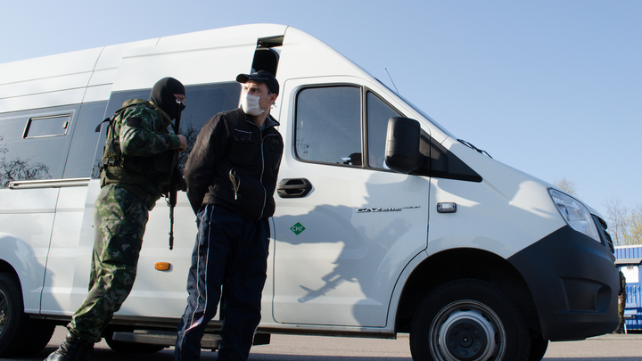 Россия и Украина провели обмен пленными