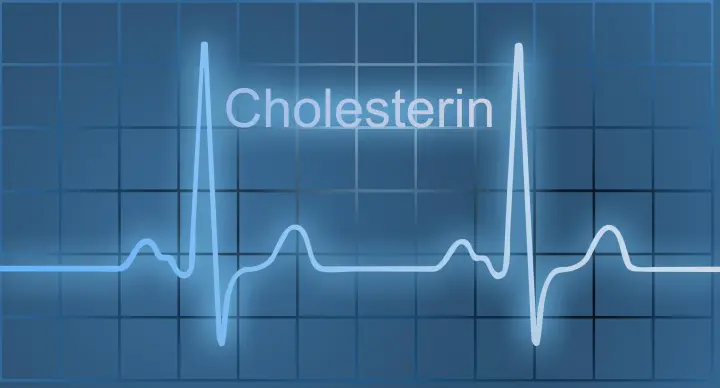 Кардиолог назвал ключевое отличие плохого холестерина от хорошего