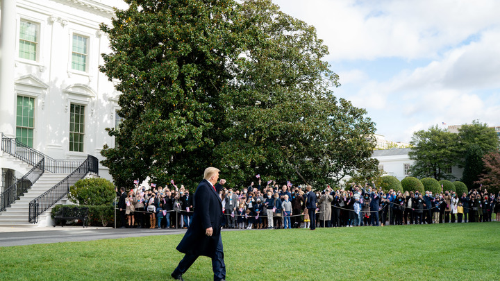 Невада закрылась, а штаты-гаранты отданы Трампу: последние итоги выборов президента США