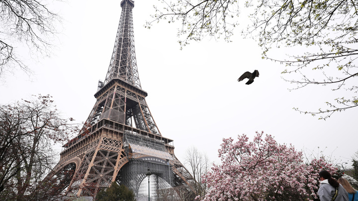 Не кривите физиономии: Сотрудница Красного Креста дала памятку для украинских беженцев