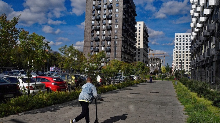 Каждый второй вопрос на портале Наш город решается за один-два дня - Собянин