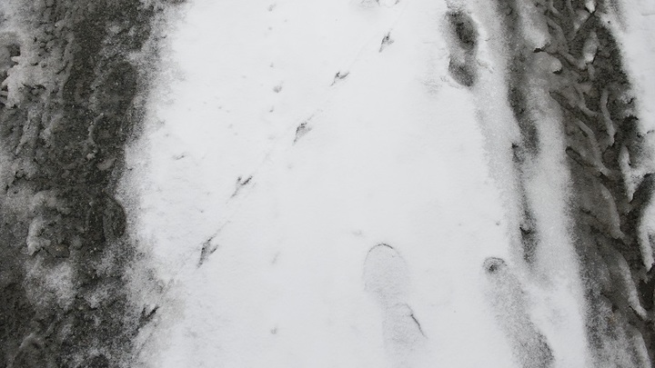 Снегопад накрыл ЮАР: от переохлаждения погибла женщина