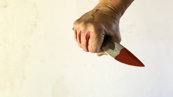 В Меленках на основании вердикта присяжных заседателей вынесен приговор по делу об убийстве