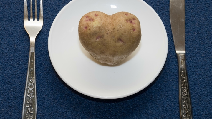 США столкнулись с голодом: Из-за пандемии без еды остались 50 млн американцев - СМИ