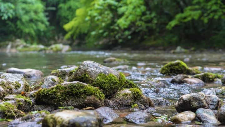 День Вадима Ключника 22 апреля. Что можно и нельзя делать? Народные приметы о счастье. Прогноз на лето