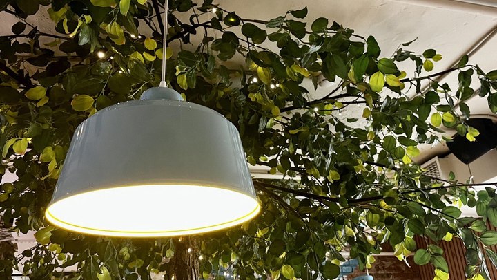 Отключение электричества в Сочи 11 июня 2024: кто и почему останется без света