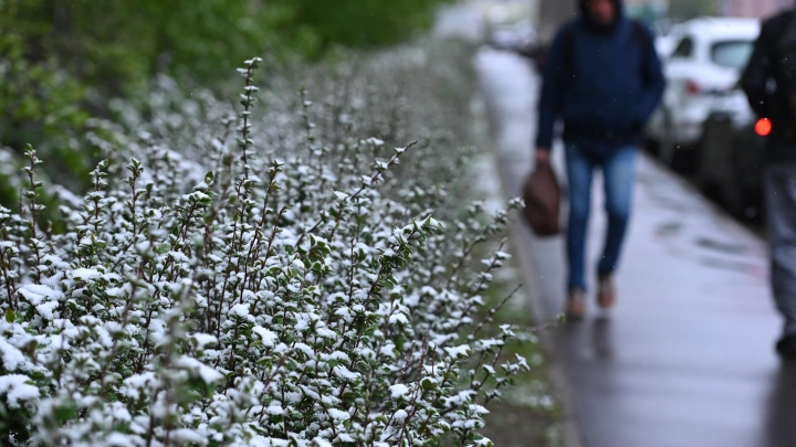 Синоптик Тишковец: снег и мороз могут вернуться в Москву перед Пасхой