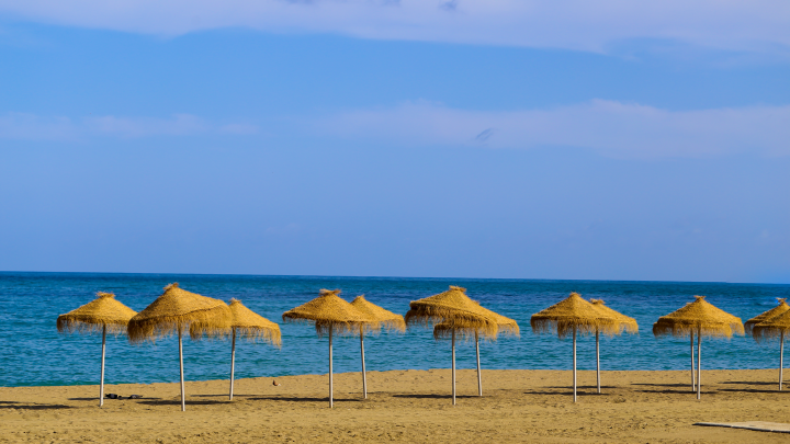 На пляже в Египте мурена напала на русского туриста