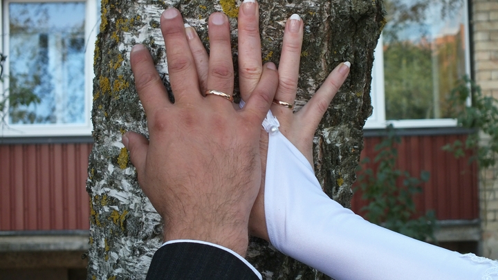 В Новосибирской области пары разводятся реже всего в Сибири