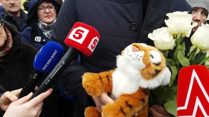 Пропавший тигренок не уберег Началову: Братья Запашные принесли Юлии прощальный подарок