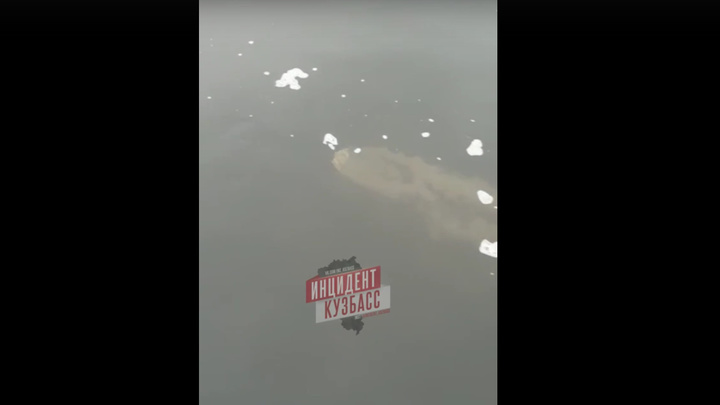 Воняет дико, страшно: в Томи обнаружены трубы, загрязняющие воду фекалиями