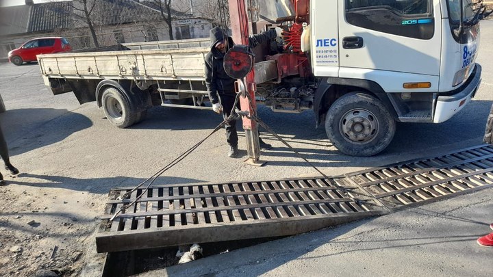 В Новороссийске доставать собаку из ливнёвки приехали спасатели, а вытащила ее глава поселения