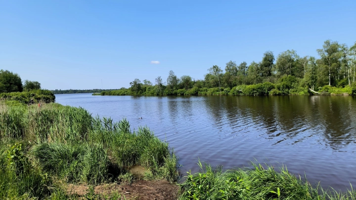 Синегнойная палочка в водоёмах: чем опасно заражение и кто в группе риска