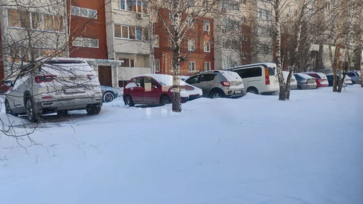В Новосибирске отменили субботник 19 апреля из-за снегопада