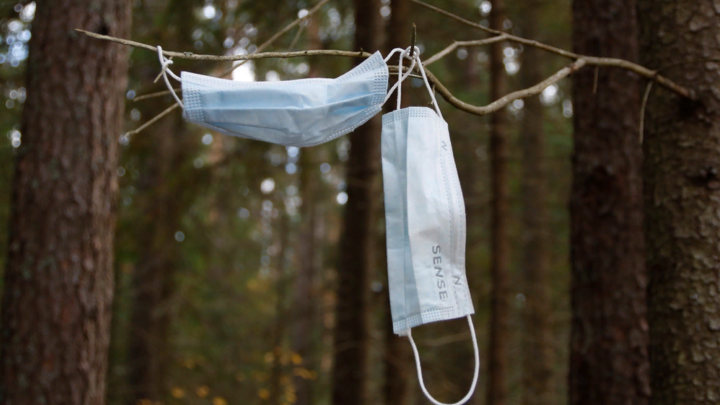 Пандемии больше нет: Реакция России на заявление ВОЗ