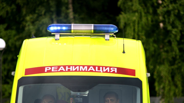 Что за полиорганная недостаточность убила спасённых на озере в Петербурге детей