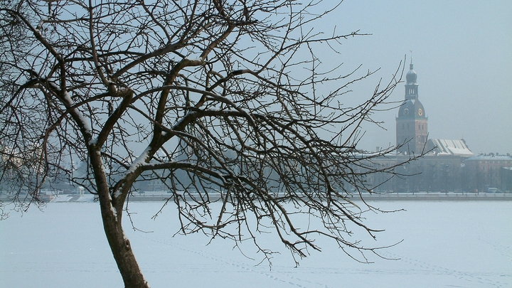 Какой сегодня праздник – на календаре 6 ноября