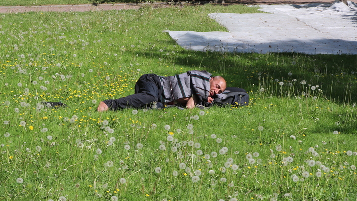Дневной сон - и лекарство, и яд. Хитрая схема сомнолога