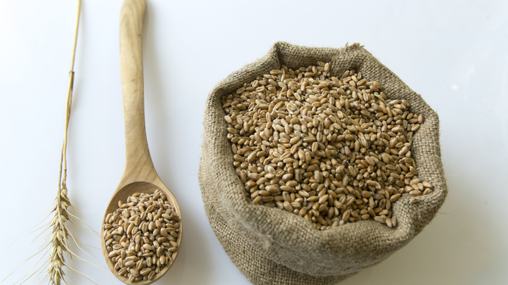 Русские дипломаты резко осадили Вашингтон по зерновой сделке: Только факты