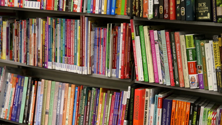 Русская литература возвращается в Донбасс: Московские добровольцы собрали тысячи книг