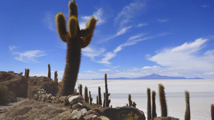 В Мексике наркокартель похитил блогера-экстремала Владимира Косарова