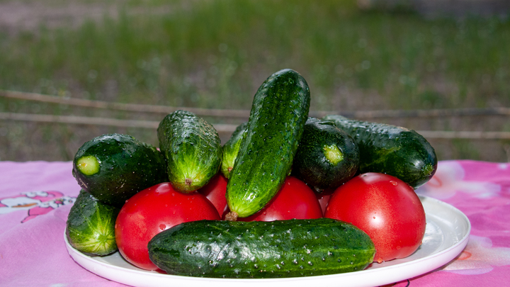 Названы полезные для обмена веществ продукты