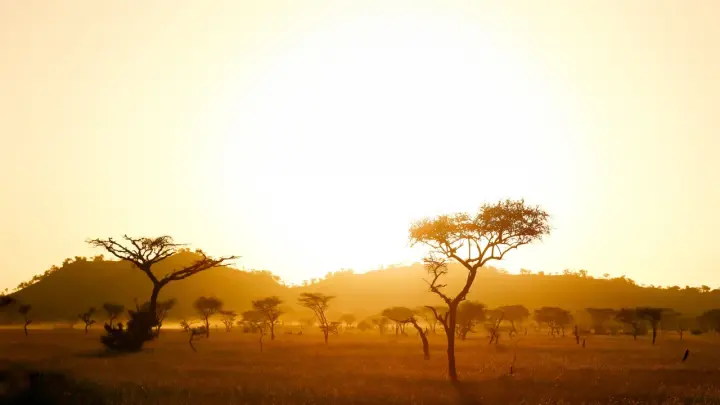 Тень Призрачной горы: исчезновение туристки в ЮАР связали с колдовским ритуалом
