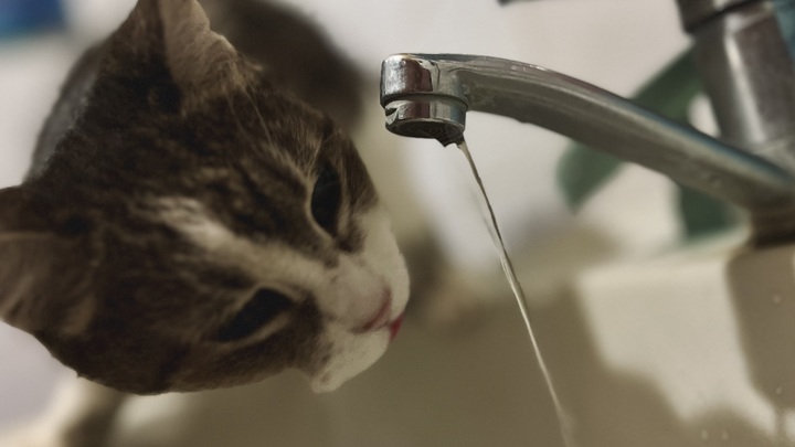 В Краснодаре жители 12 многоэтажек остались без холодной воды