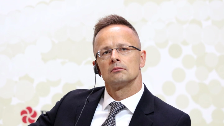 В Венгрии считают, что польский министр Сикорский лишился здравого смысла