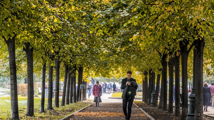 Ракета, гамаки и скамейки: в Екатеринбурге появится Каменная река