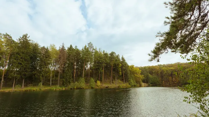 Пропавшие в Хабаровском крае рыбаки нашлись после двух дней в тайге