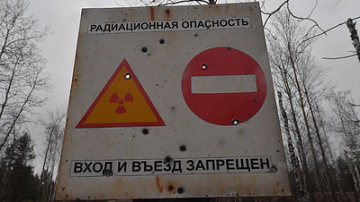 В зоне Чернобыля на фото сняли собак-мутантов синего цвета