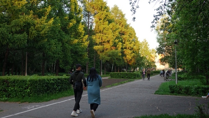 Реконструкцию парка Гагарина в Новокузнецке приостановили из-за активистов