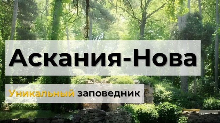 В Минтуризма подготовили карточки об Аскании-Нове