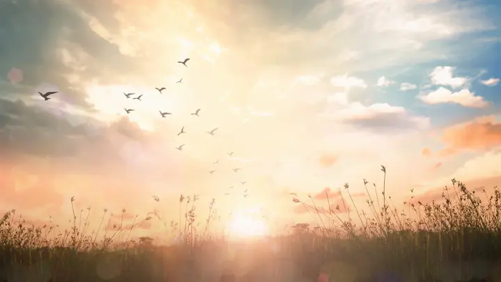 Лето напоследок громко хлопнет дверью: Синоптики рассказали о сюрпризах августа и сентября