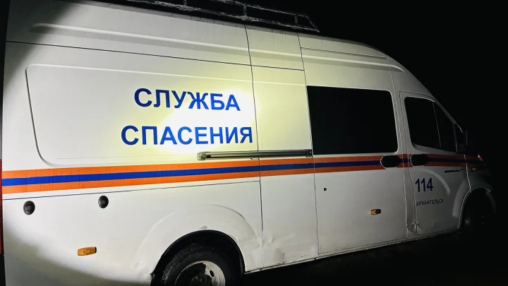 Спасли одного, поиски продолжаются: в Ленобласти двое мужчин провалились под лёд