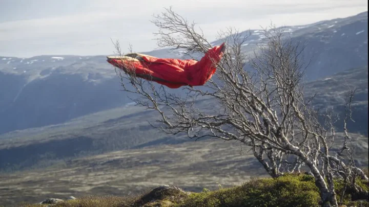 Сын Усольцевой объяснил, почему отказался признавать в суде семью погибшей 