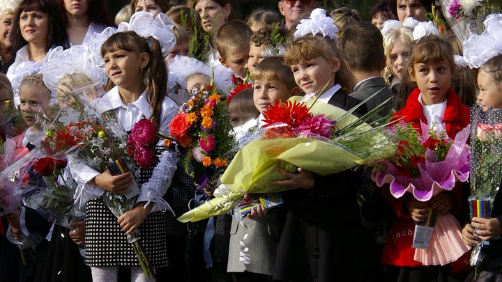 Подмосковные тепличные комплексы вырастили ко Дню знаний более 4,5 миллиона цветов